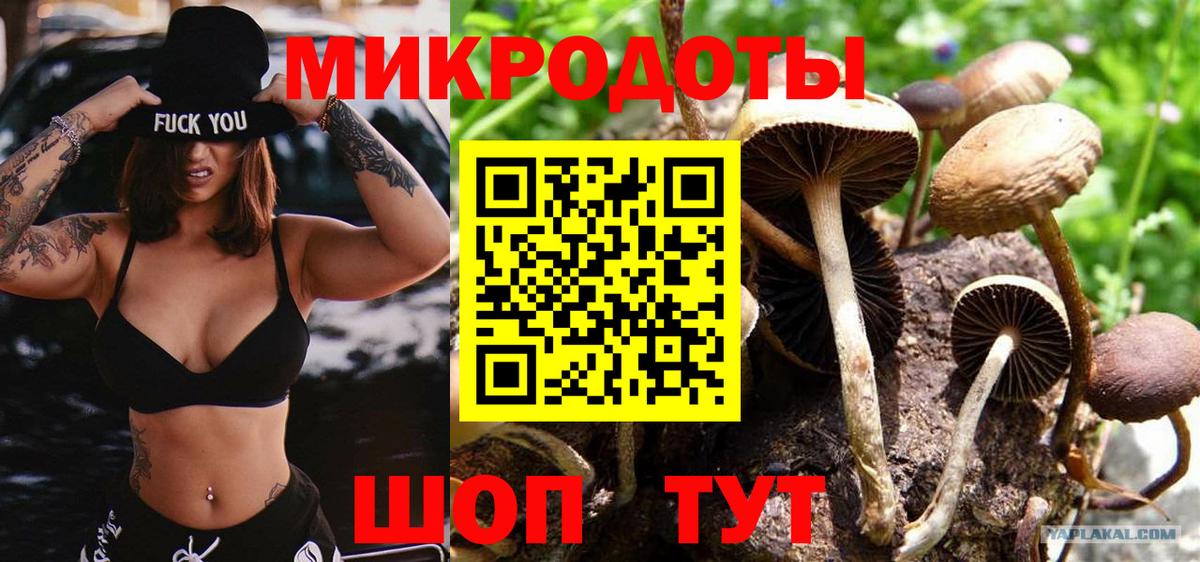 Галлюциногенные грибы Psilocybe  Зеленодольск  Галлюциногенные грибы MAGIC MUSHROOMS 