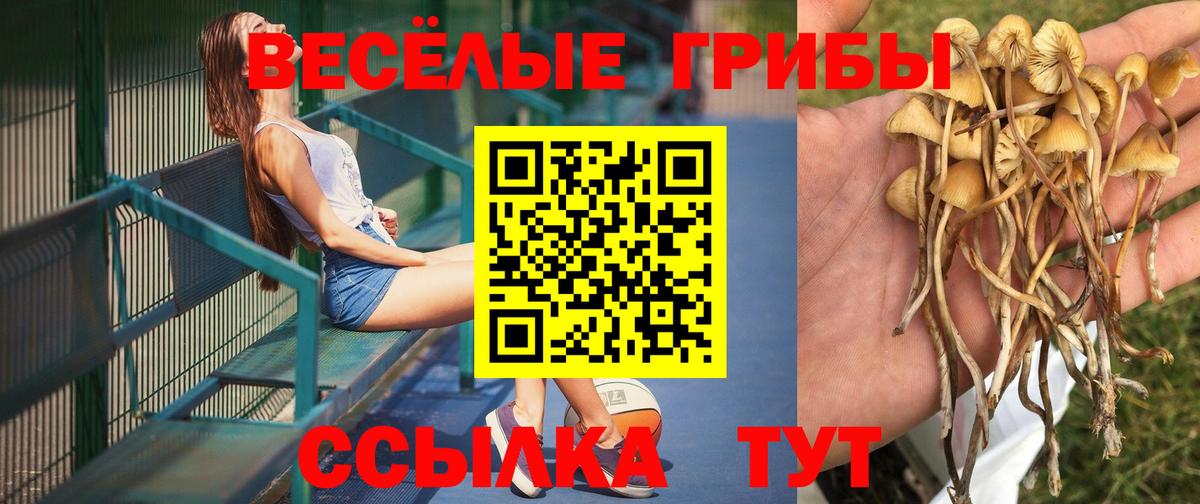 Псилоцибиновые грибы Cubensis  Вход с VPN  Зеленодольск  Галлюциногенные грибы GOLDEN TEACHER 
