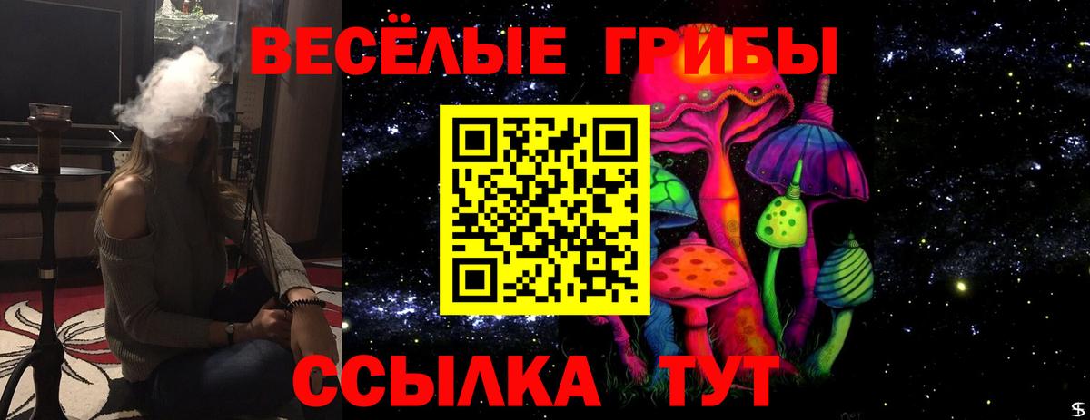 Псилоцибиновые грибы мухоморы Зеленодольск